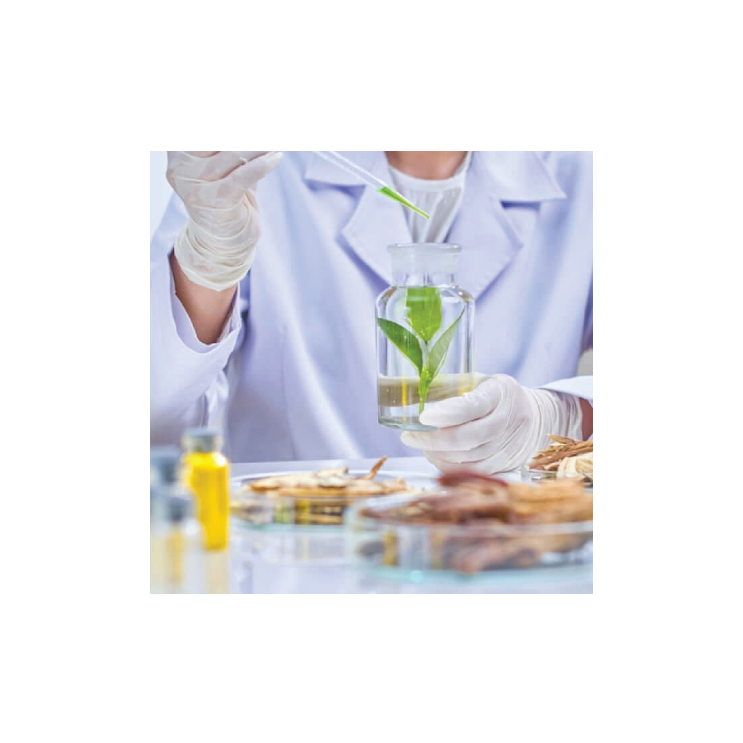 ผลิตภัณฑ์ Patent : การพัฒนาผลิตภัณฑ์ด้วยสารสกัดและเทคโนโลยีสิทธิบัตรเฉพาะ